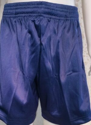 Unisex Navy Blue Regular Fit Sports Shorts