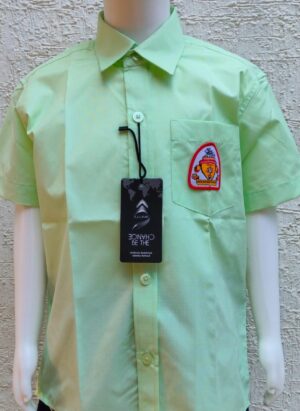 Boys Light Green Regular Fit Shirt