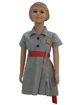 Girls Light Grey Designer Frock