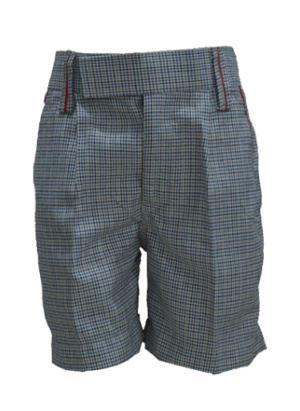 Boys Light Grey Checked Half Pant