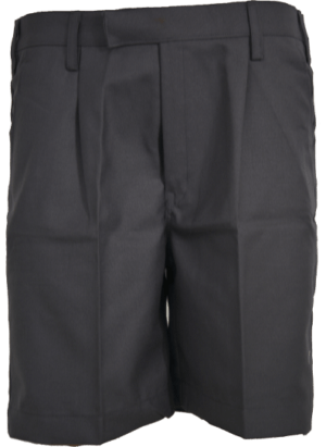 Boys Grey Half Pant (Grade: 6 - 8)