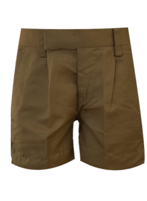 Boys Beige Half Trouser (UKG)